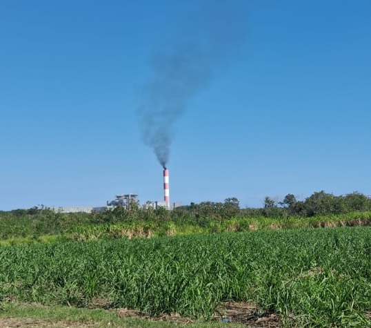 Chimenea_Punta_Catalina