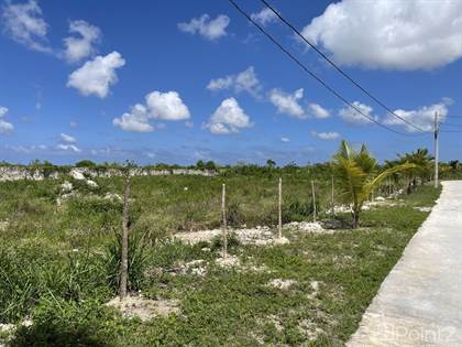 Solar baldio Bavaro